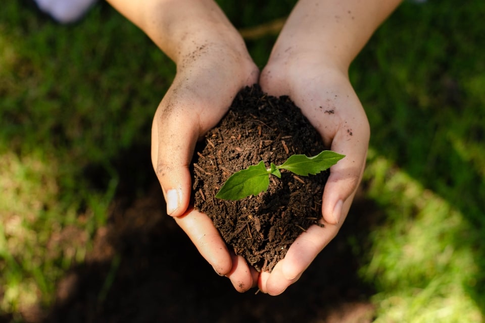 Sustentabilidade no ambiente corporativo o diferencial competitivo